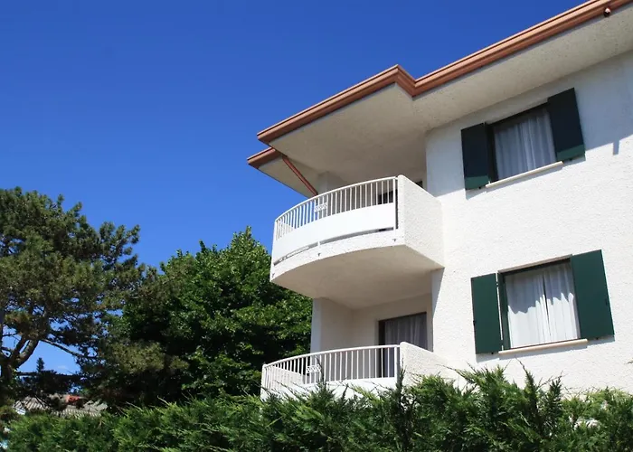 Albaluisa * Бибионе